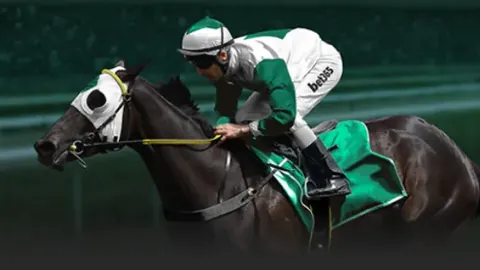 万博manbetx体育平台